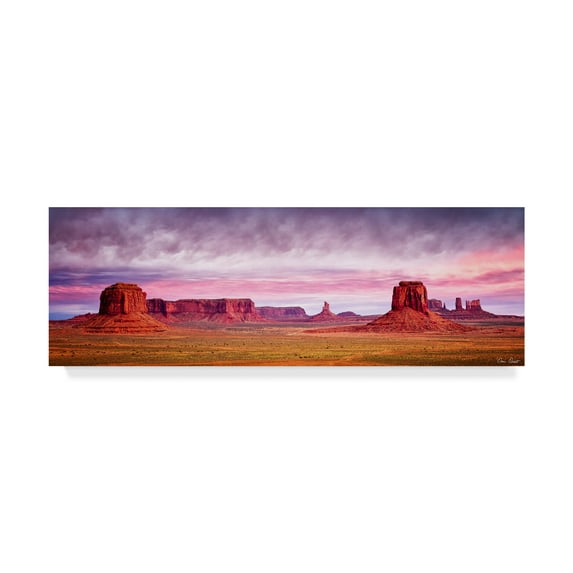 Trademark Fine Art 'Pink Morning Glory V' Canvas Art by David Drost
