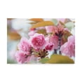 thumbnail image 1 of Trademark Fine Art 'Pink Orchid Tree' Canvas Art by Incredi, 1 of 3
