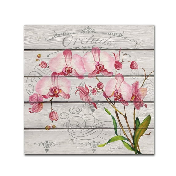 Trademark Fine Art 'Pink Orchids' Canvas Art by Jean Plout