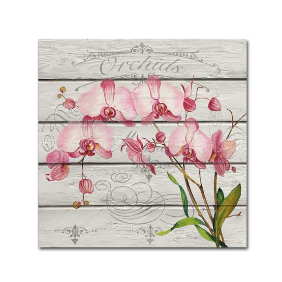 Trademark Fine Art 'Pink Orchids' Canvas Art by Jean Plout