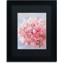 Trademark Fine Art "Pink Peonie I" Canvas Art by Li Bo, Black Matte, Black Frame