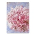 thumbnail image 1 of Trademark Fine Art "Pink Peonie I" Canvas Art by Li Bo, 1 of 3