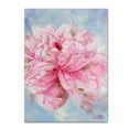 thumbnail image 1 of Trademark Fine Art "Pink Peonie II" Canvas Art by Li Bo, 1 of 4