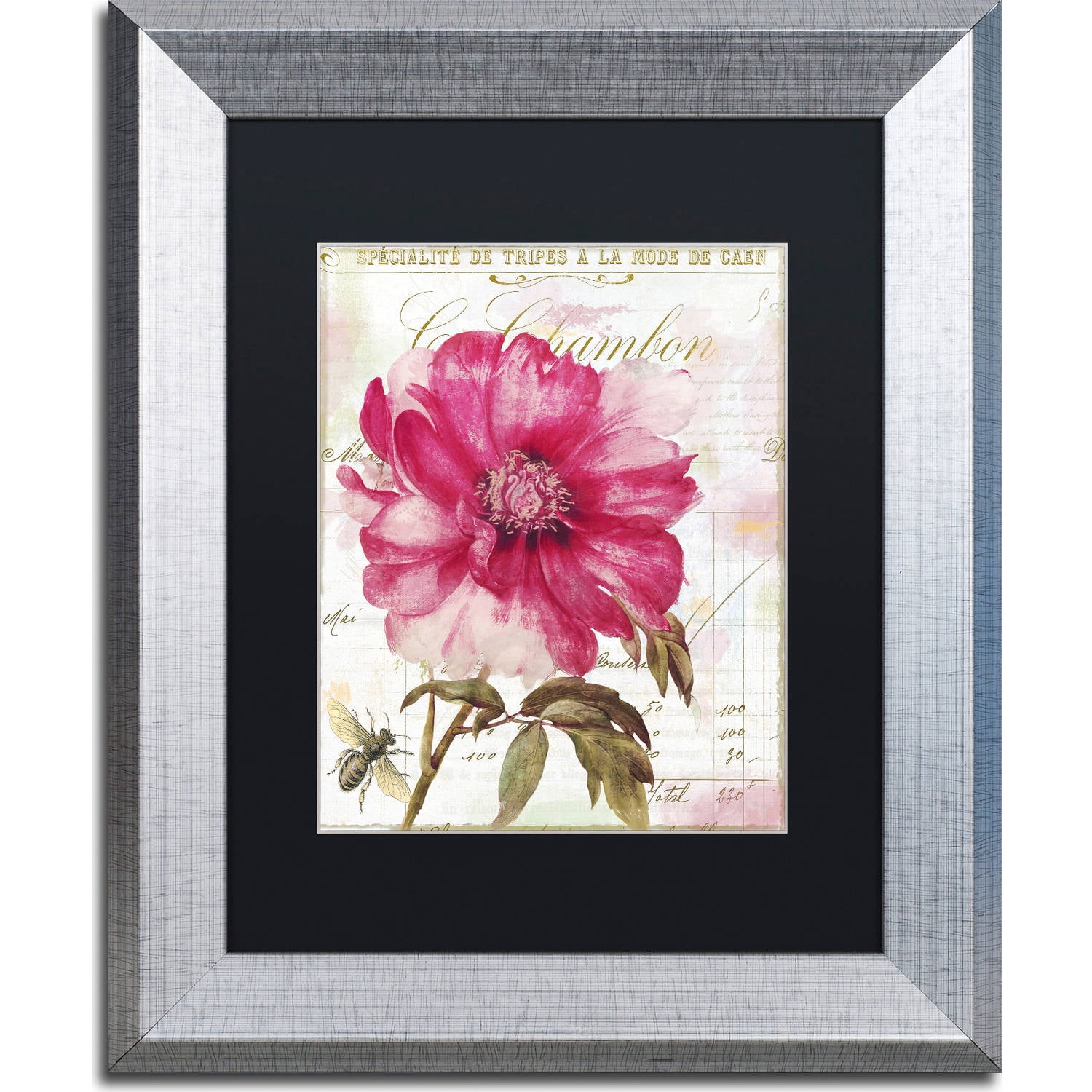 Trademark Fine Art "Pink Peony" Canvas Art by Color Bakery, Black Matte, Silver Frame