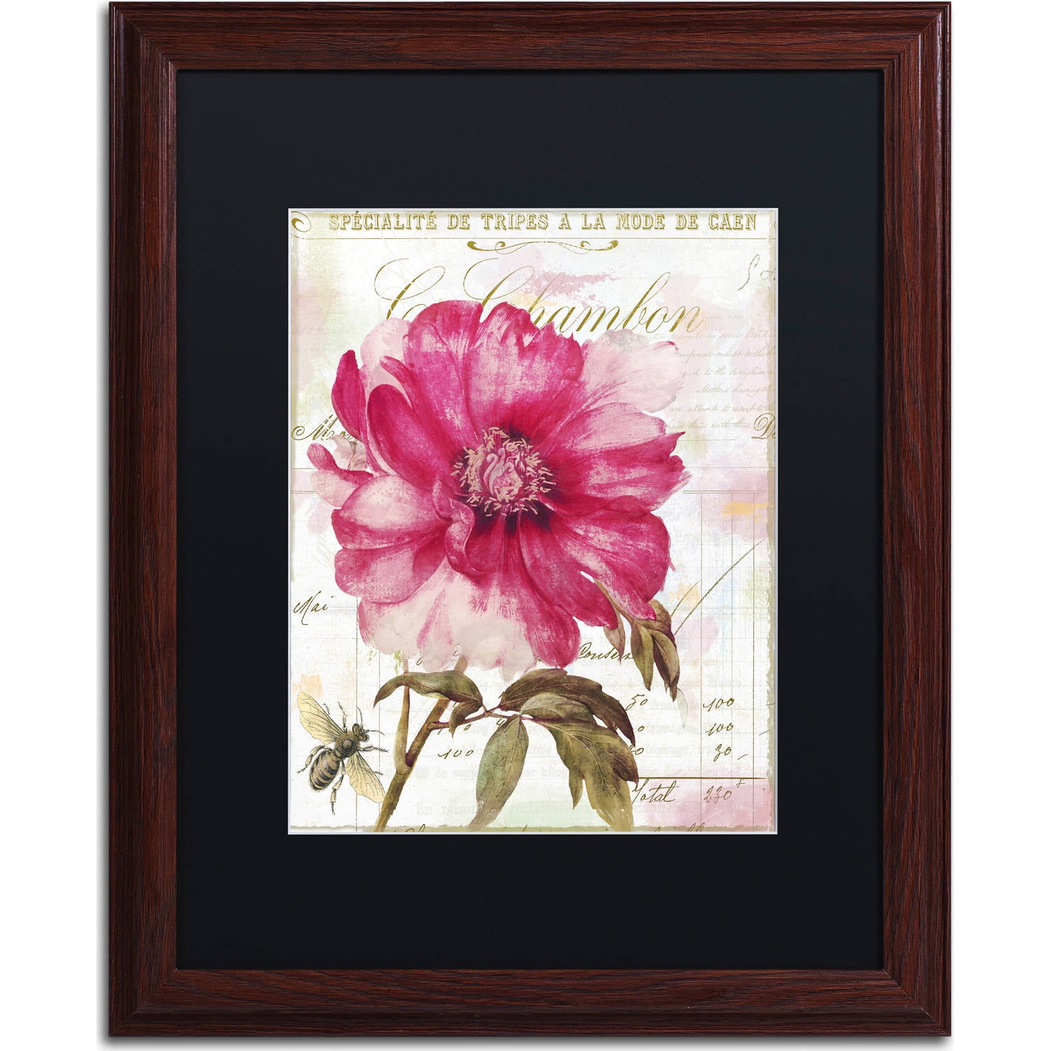 Trademark Fine Art "Pink Peony" Canvas Art by Color Bakery, Black Matte, Wood Frame