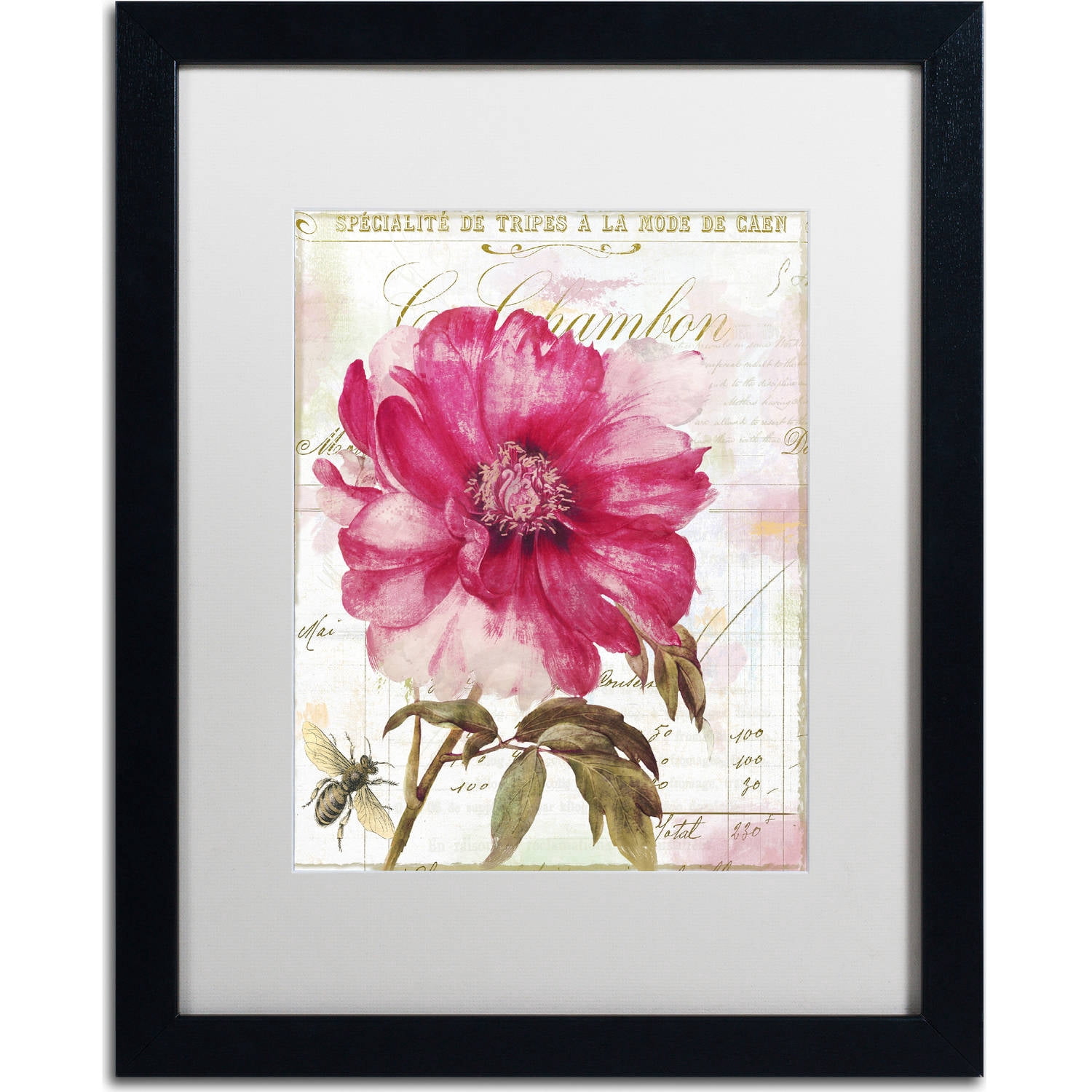 Trademark Fine Art "Pink Peony" Canvas Art by Color Bakery, White Matte, Black Frame