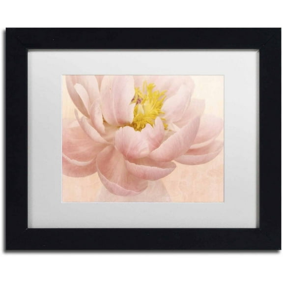 Trademark Fine Art 'Pink Peony' Canvas Art by Cora Niele, White Matte, Black Frame