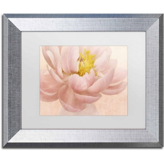 Trademark Fine Art 'Pink Peony' Canvas Art by Cora Niele, White Matte, Silver Frame