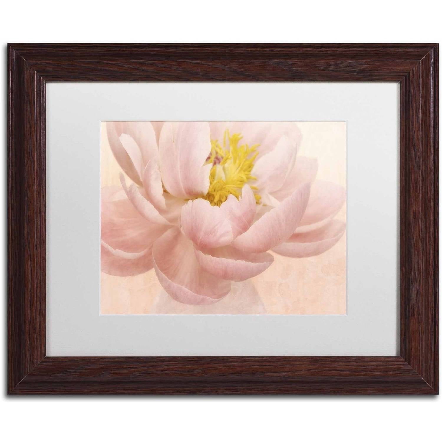 Trademark Fine Art 'Pink Peony' Canvas Art by Cora Niele, White Matte, Wood Frame