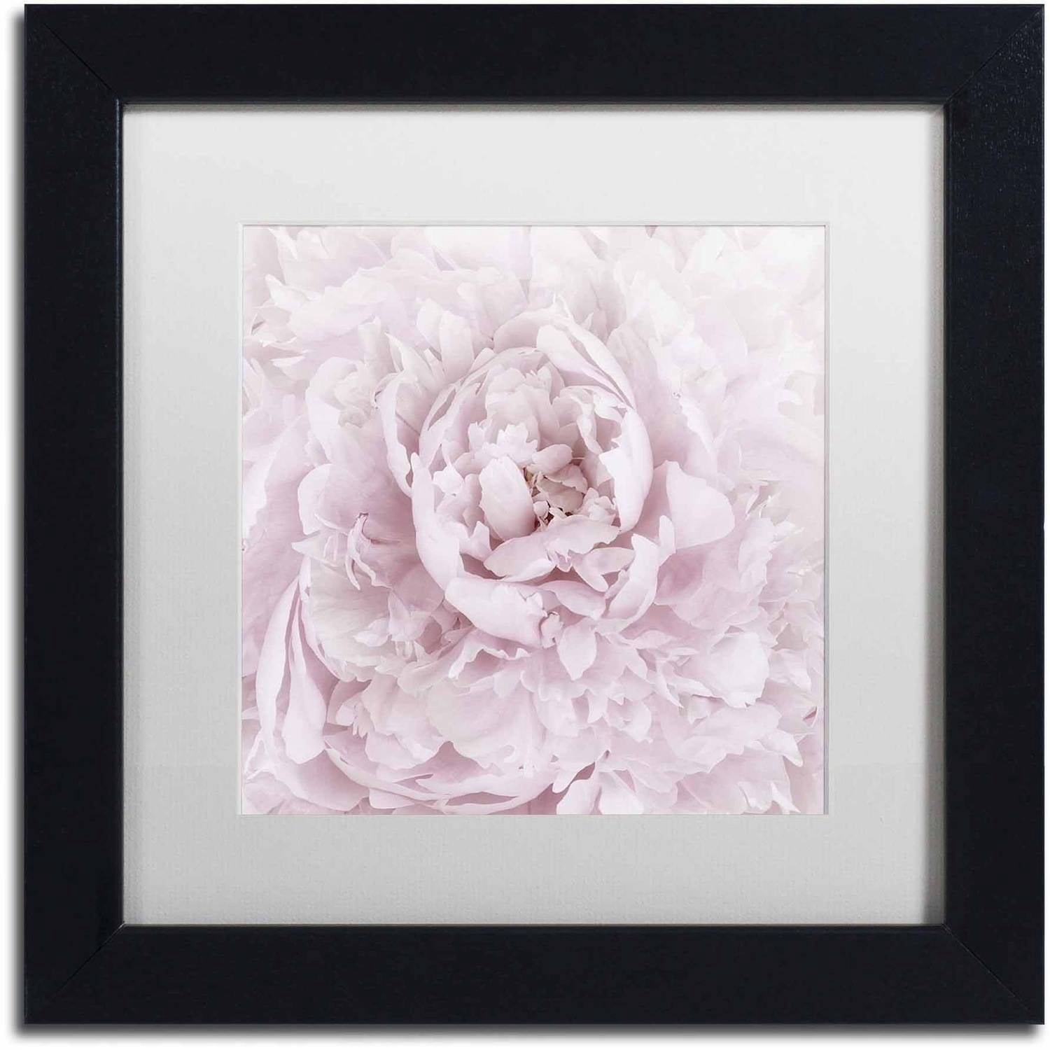 Trademark Fine Art 'Pink Peony Flower' Canvas Art by Cora Niele, White Matte, Black Frame