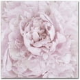 thumbnail image 1 of Trademark Fine Art 'Pink Peony Flower' Canvas Art by Cora Niele, 1 of 2