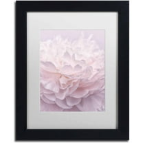 Trademark Fine Art 'Pink Peony Petals I' Canvas Art by Cora Niele, White Matte, Black Frame