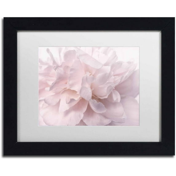 Trademark Fine Art 'Pink Peony Petals II' Canvas Art by Cora Niele, White Matte, Black Frame
