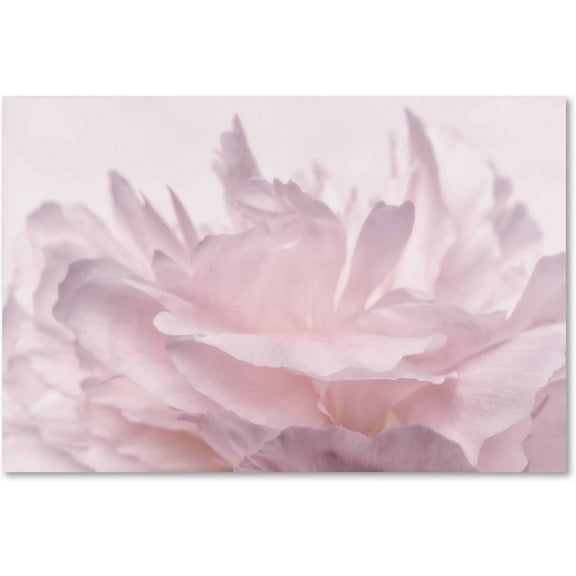 Trademark Fine Art Cora Niele Pink Peony Petals III Canvas Wall Art - 12x19