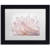 Trademark Fine Art 'Pink Peony Petals V' Canvas Art by Cora Niele, White Matte, Black Frame