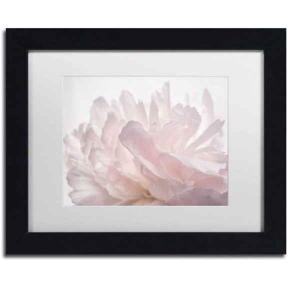 Trademark Fine Art 'Pink Peony Petals V' Canvas Art by Cora Niele, White Matte, Black Frame