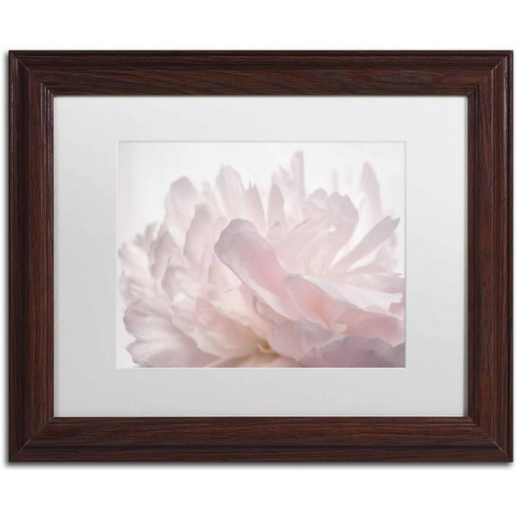 Trademark Fine Art 'Pink Peony Petals V' Canvas Art by Cora Niele, White Matte, Wood Frame