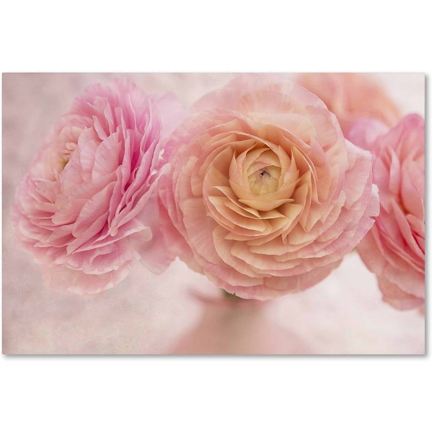 Trademark Fine Art 'Pink Persian Buttercup Bouquet' Canvas Art by Cora Niele