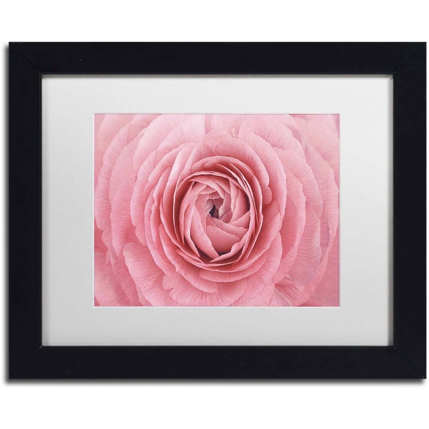 Trademark Fine Art 'Pink Persian Buttercup Flower' Canvas Art by Cora Niele, White Matte, Black Frame