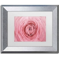 Trademark Fine Art 'Pink Persian Buttercup Flower' Canvas Art by Cora Niele, White Matte, Silver Frame