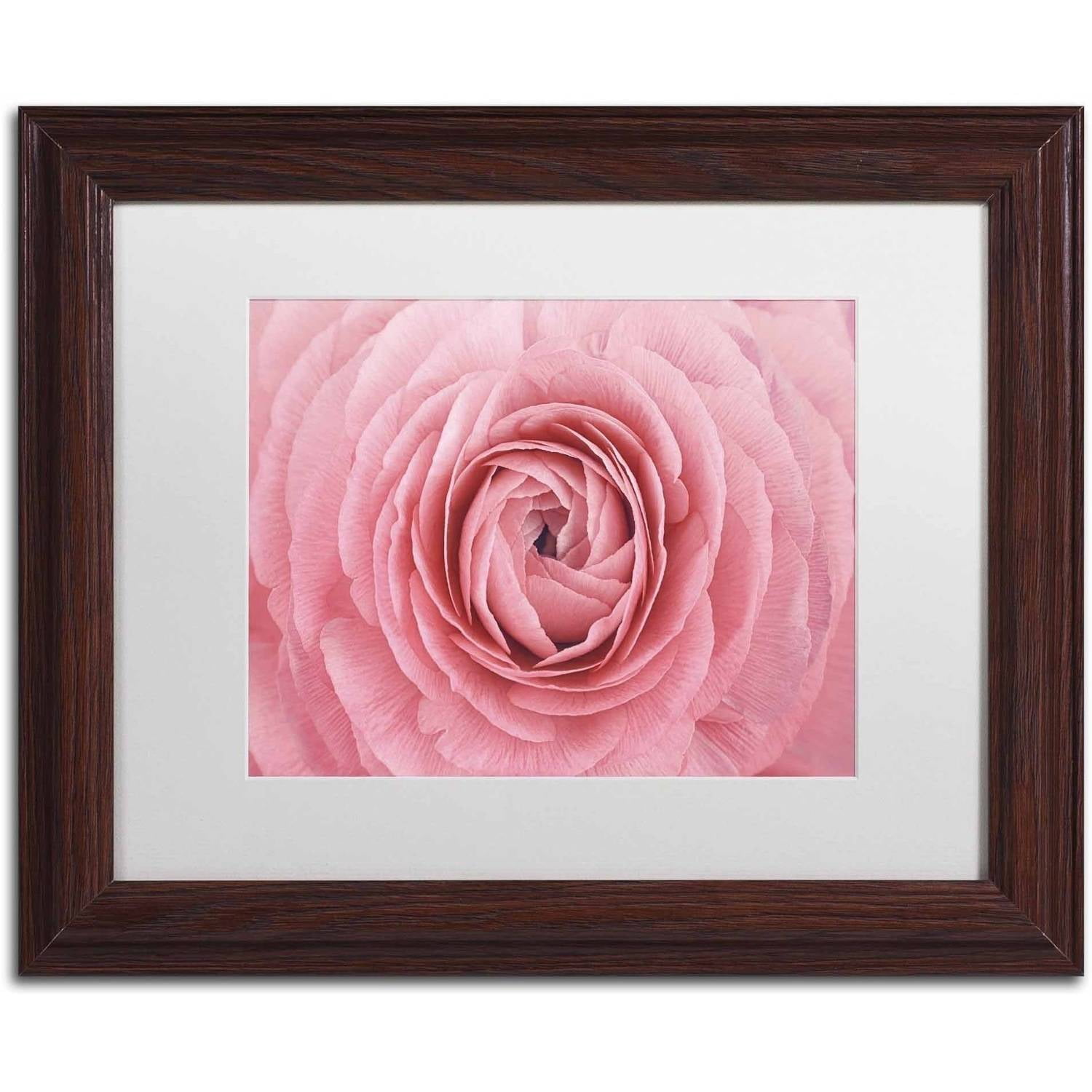 Trademark Fine Art 'Pink Persian Buttercup Flower' Canvas Art by Cora Niele, White Matte, Wood Frame