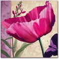 thumbnail image 1 of Trademark Fine Art " Pink Poppy I " Canvas Art by Color Bakery, 1 of 3