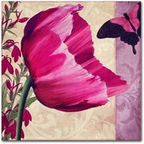 Trademark Fine Art " Pink Poppy II " Canvas Art by Color Bakery