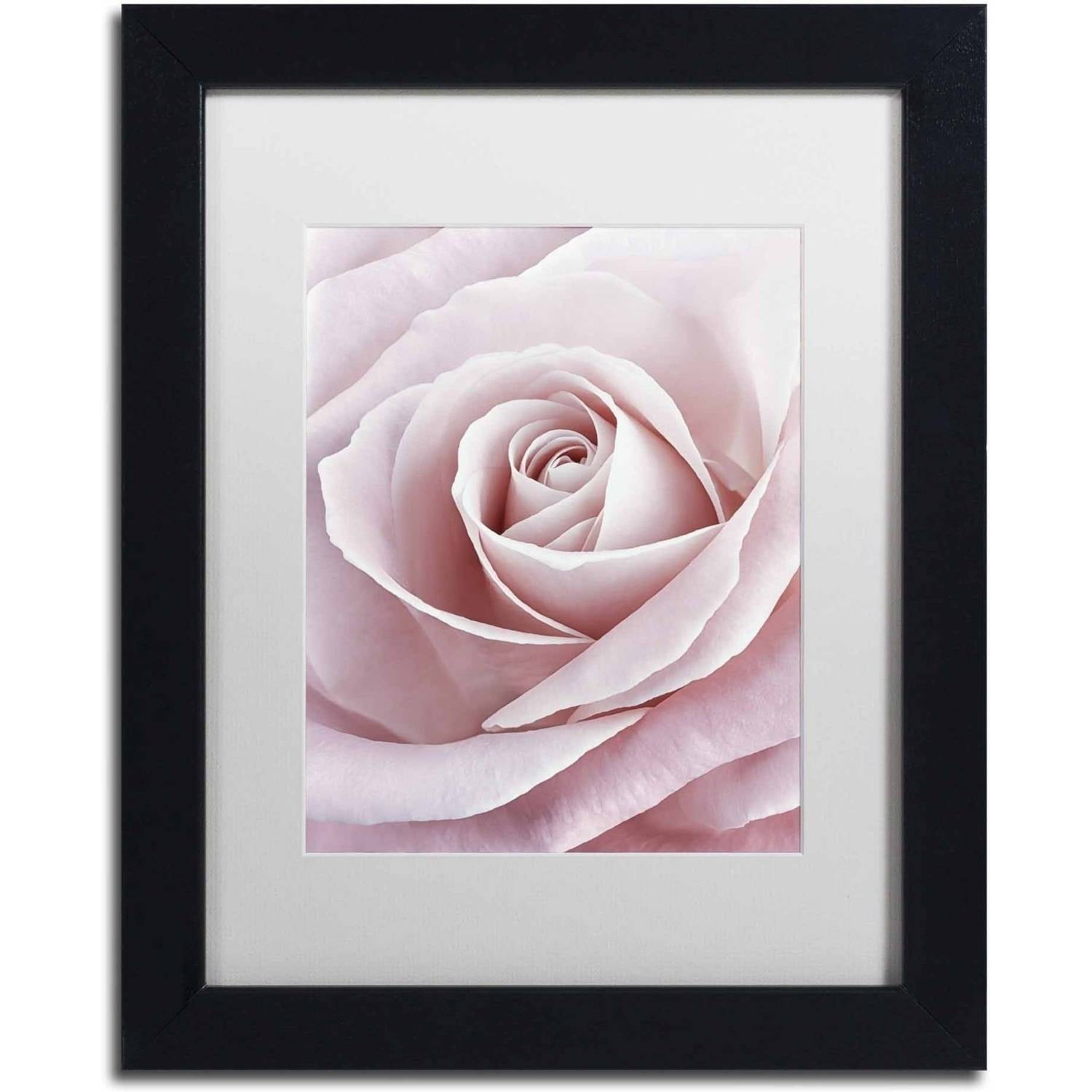 Trademark Fine Art 'Pink Rose' Canvas Art by Cora Niele, White Matte, Black Frame
