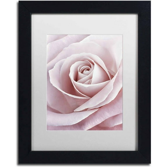 Trademark Fine Art 'Pink Rose' Canvas Art by Cora Niele, White Matte, Black Frame