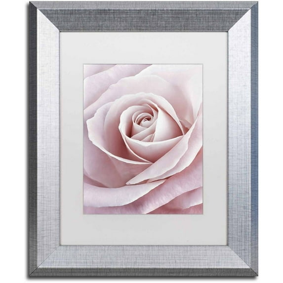 Trademark Fine Art 'Pink Rose' Canvas Art by Cora Niele, White Matte, Silver Frame