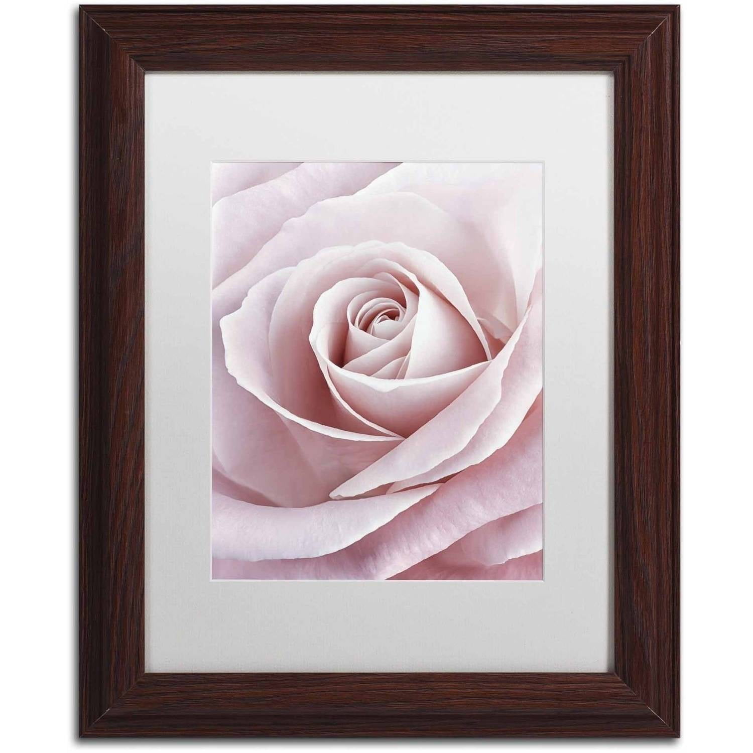 Trademark Fine Art 'Pink Rose' Canvas Art by Cora Niele, White Matte, Wood Frame