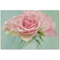 Trademark Fine Art 'Pink Roses' Canvas Art by Cora Niele