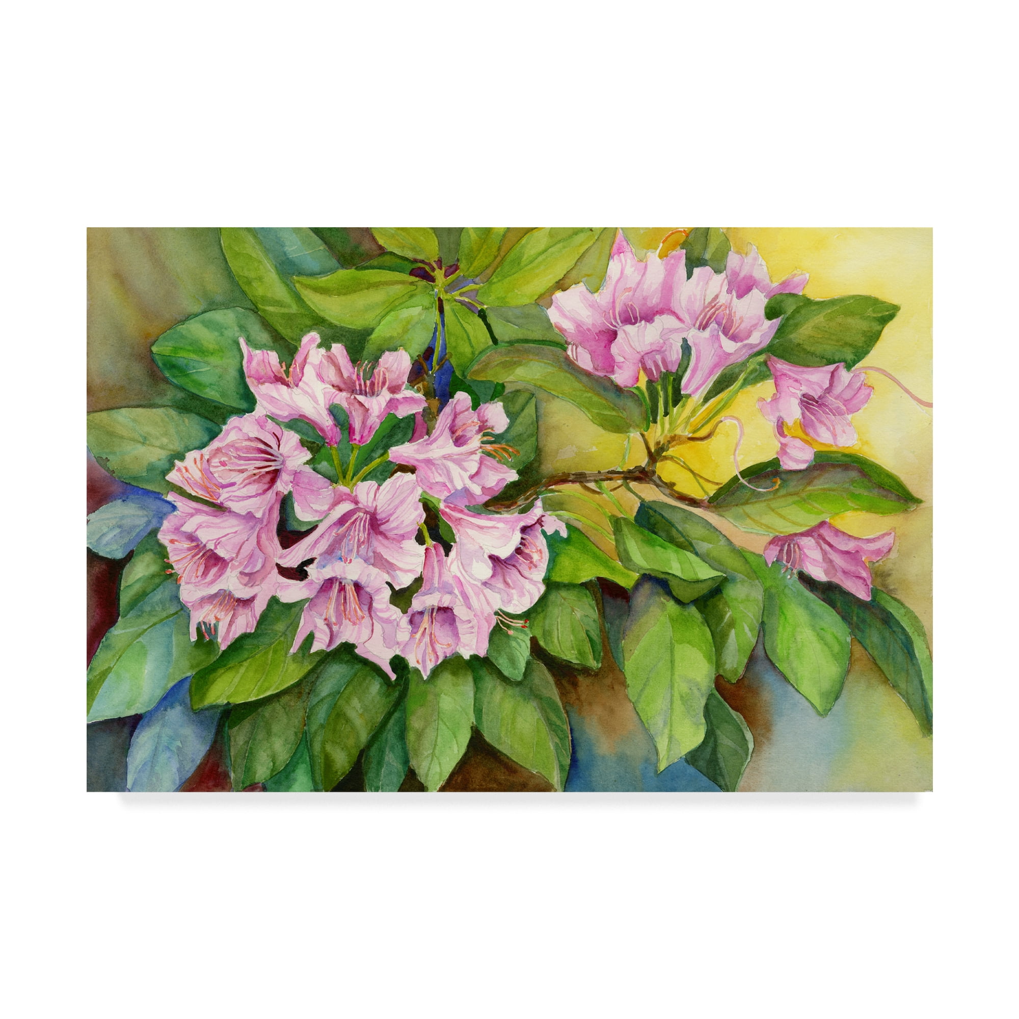 Trademark Fine Art 'Pink Sunlit Azalea' Canvas Art by Joanne Porter