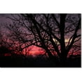 thumbnail image 1 of Trademark Fine Art "Pink Sunset" Canvas Art by Jason Shaffer, 1 of 4