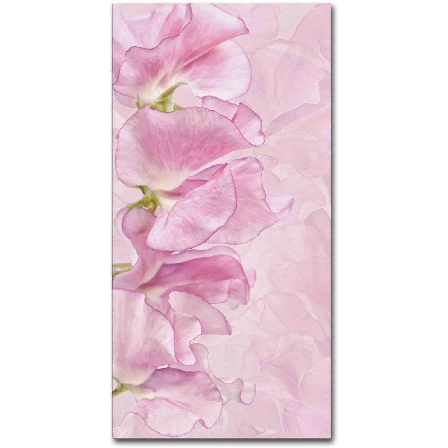 Trademark Fine Art 'Pink Sweet Peas' Canvas Art by Cora Niele