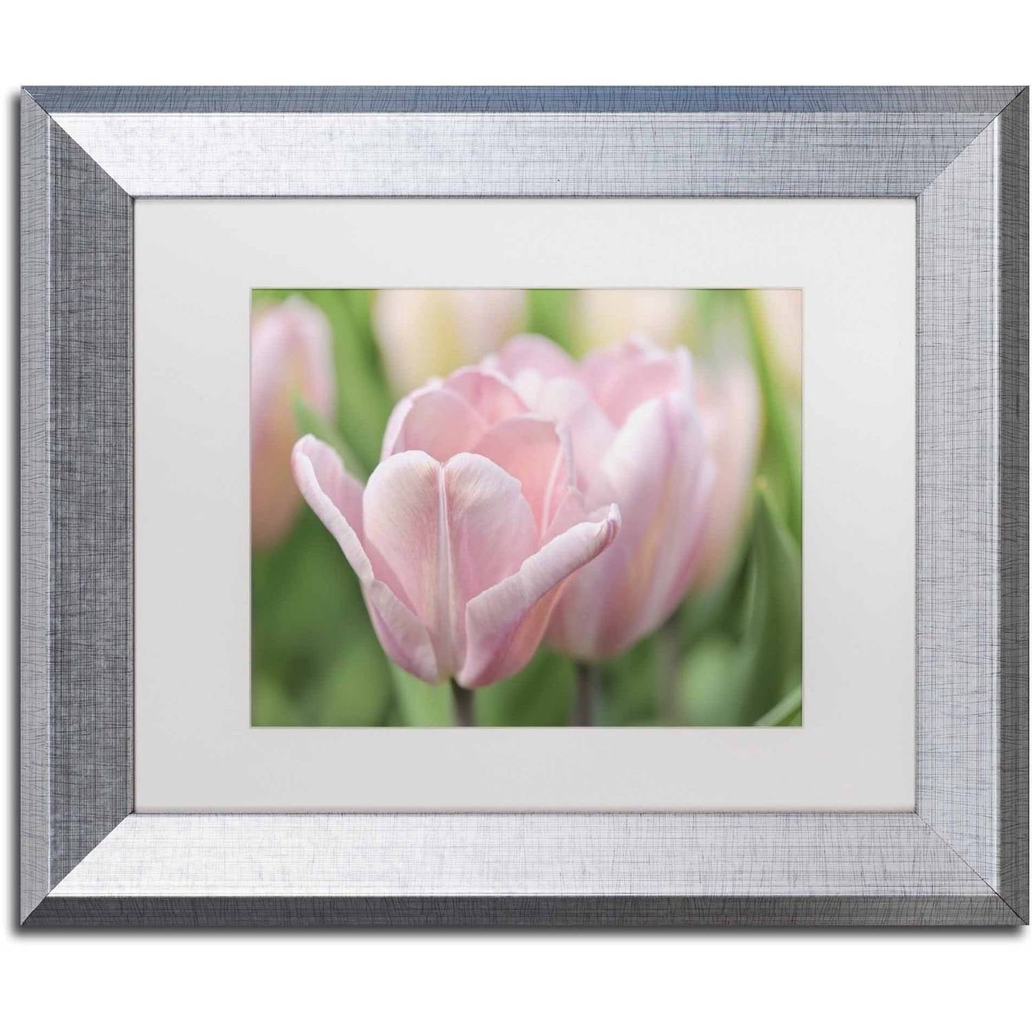 Trademark Fine Art 'Pink Tulip Baronesse' Canvas Art by Cora Niele, White Matte, Silver Frame