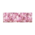 thumbnail image 1 of Trademark Fine Art 'Pink Tulip Scape' Canvas Art by Cora Niele, 1 of 4