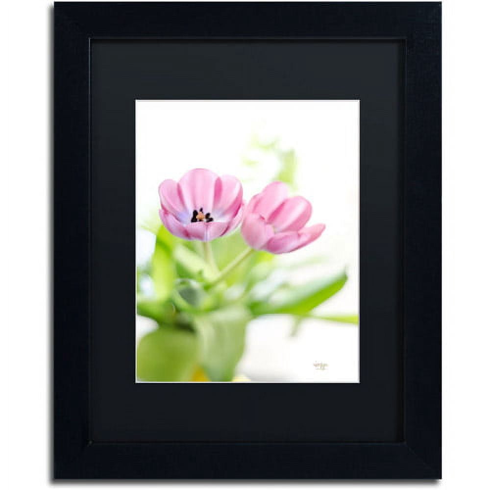 Trademark Fine Art "Pink Tulips Drenched in Light" Canvas Art by Lois Bryan, Black Mat, Black Frame