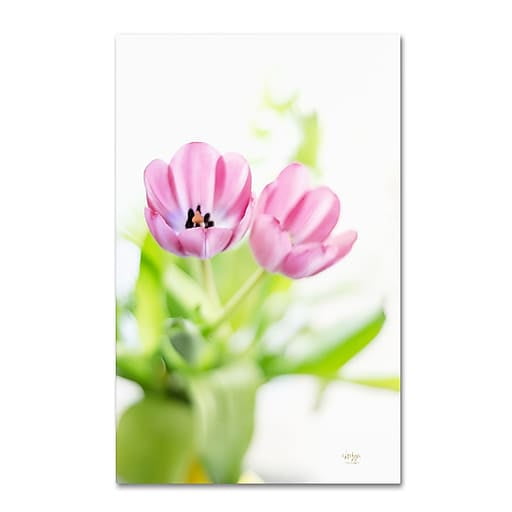 Trademark Fine Art "Pink Tulips Drenched in Light" Canvas Art by Lois Bryan