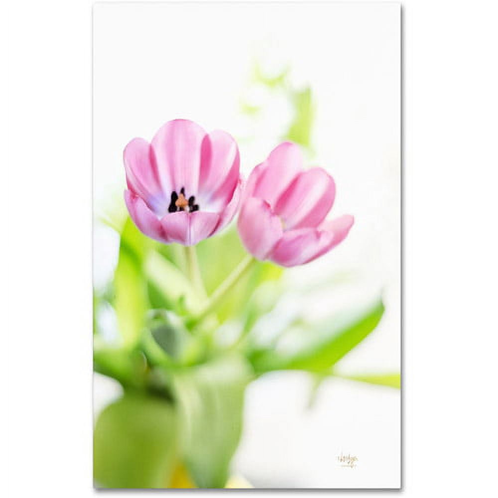 Trademark Fine Art "Pink Tulips Drenched in Light" Canvas Art by Lois Bryan