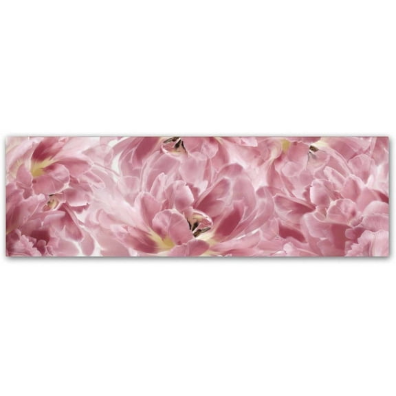 Trademark Fine Art 'Pink Tulips Scape' Canvas Art by Cora Niele