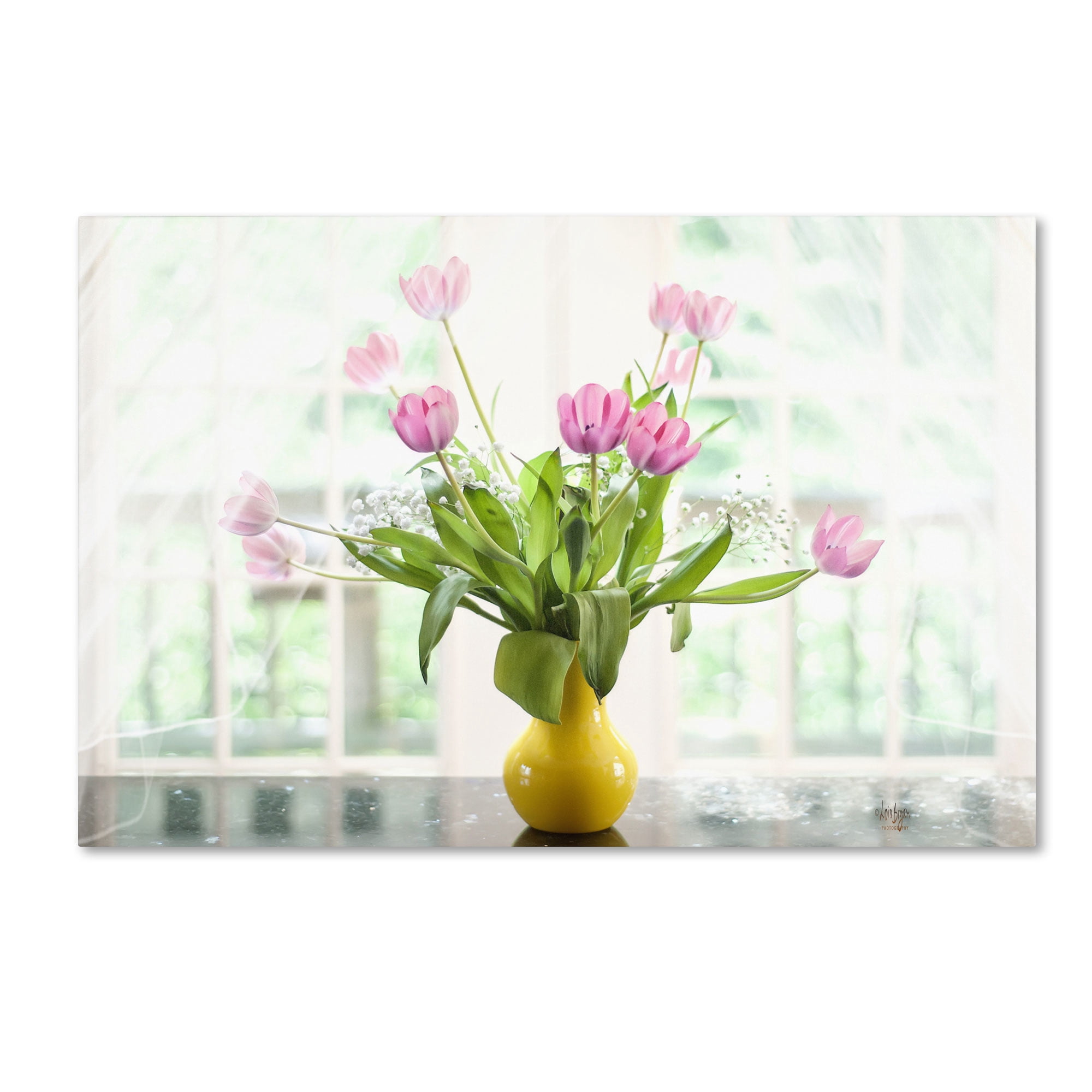 Trademark Fine Art "Pink Tulips in the Window" Canvas Art by Lois Bryan