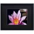 thumbnail image 1 of Trademark Fine Art "Pink Water Lily" Canvas Art by Kurt Shaffer, Black Matte, Black Frame, 1 of 4