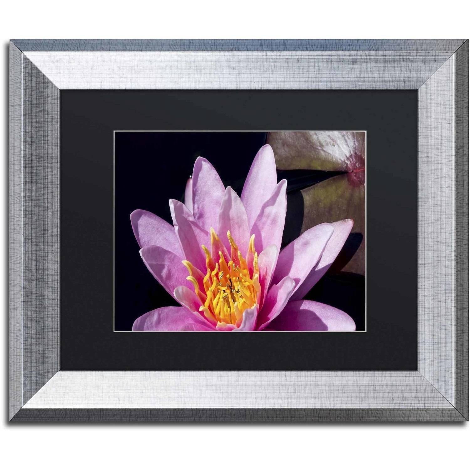 Trademark Fine Art "Pink Water Lily" Canvas Art by Kurt Shaffer, Black Matte, Silver Frame