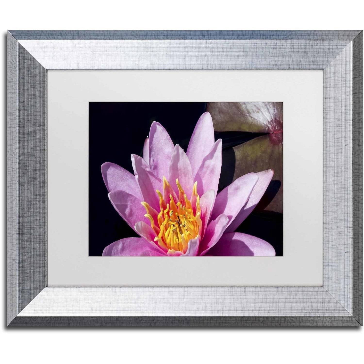 Trademark Fine Art "Pink Water Lily" Canvas Art by Kurt Shaffer, White Matte, Silver Frame