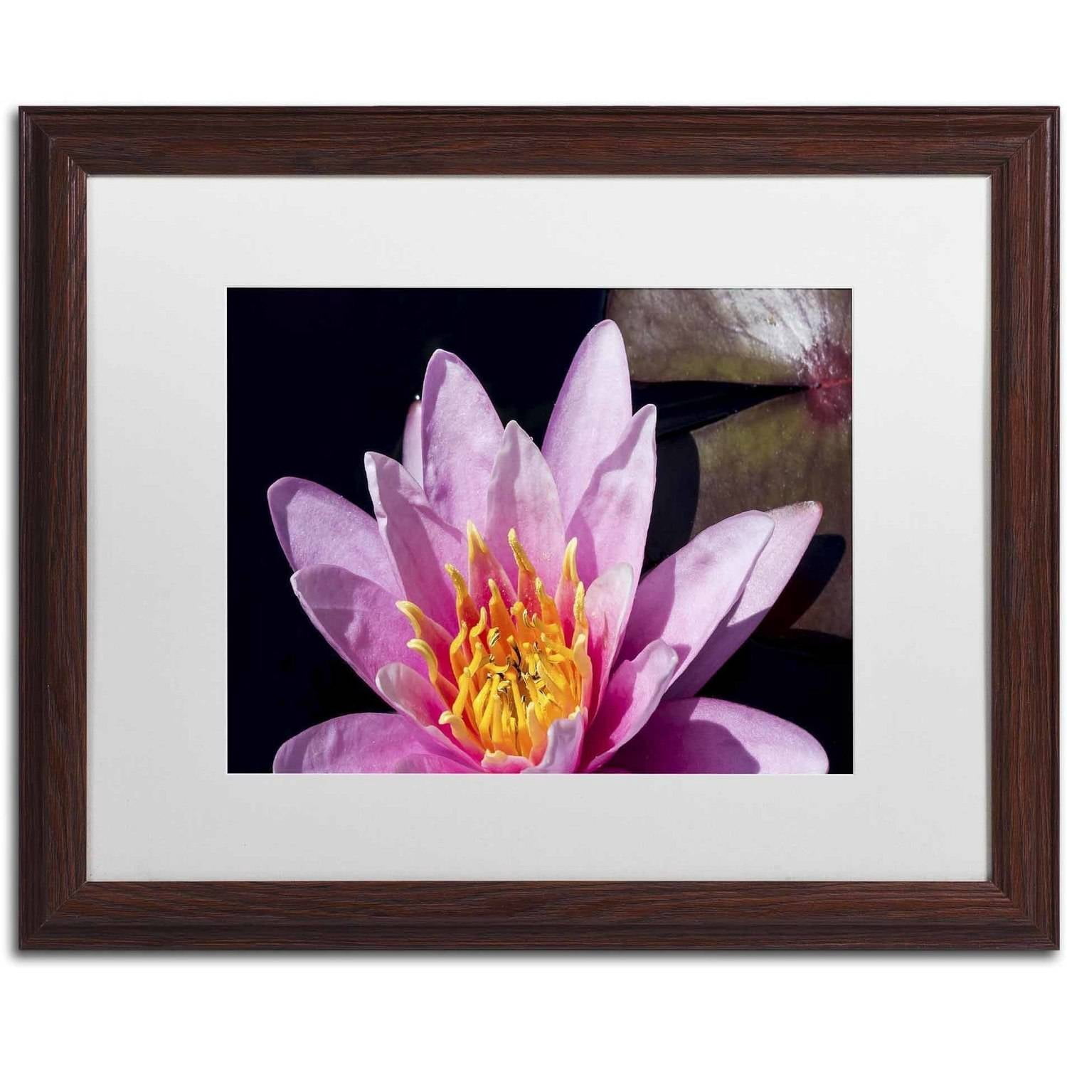 Trademark Fine Art "Pink Water Lily" Canvas Art by Kurt Shaffer, White Matte, Wood Frame