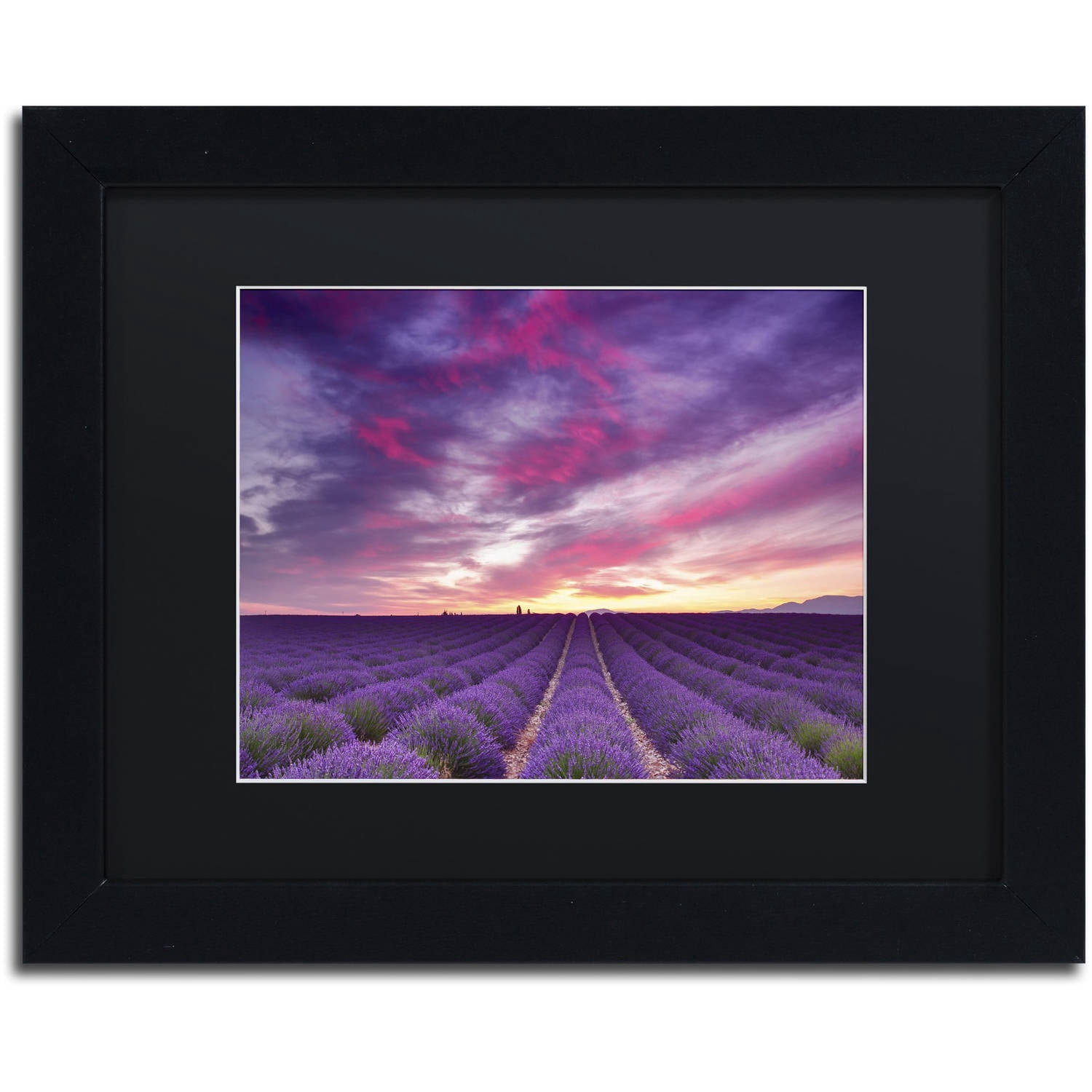 Trademark Fine Art 'Pink and Purple' Canvas Art by Michael Blanchette Photography, Black Matte, Black Frame