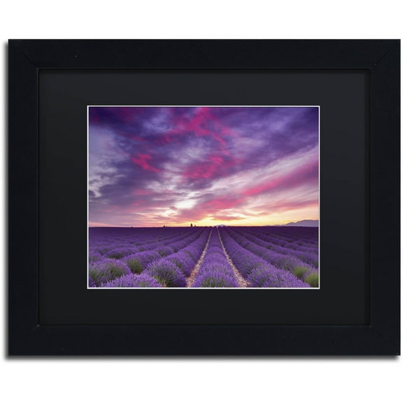 Trademark Fine Art 'Pink and Purple' Canvas Art by Michael Blanchette Photography, Black Matte, Black Frame
