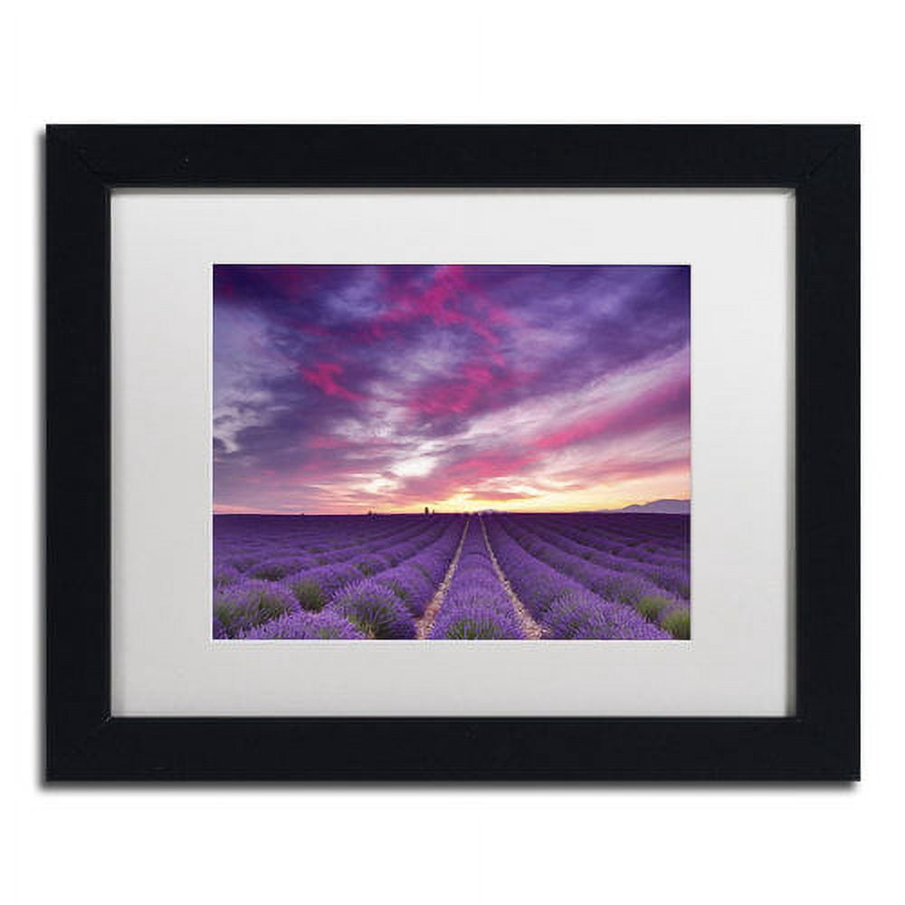 Trademark Fine Art 'Pink and Purple' Canvas Art by Michael Blanchette Photography, White Matte, Black Frame