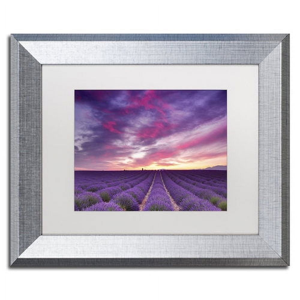 Trademark Fine Art 'Pink and Purple' Canvas Art by Michael Blanchette Photography, White Matte, Silver Frame